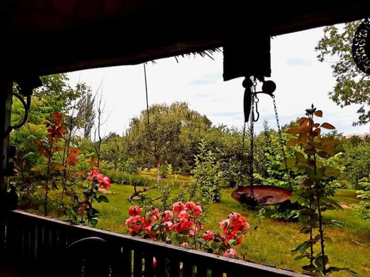 Perla Neagra Lotus Spa Caineni-Bai Esterno foto